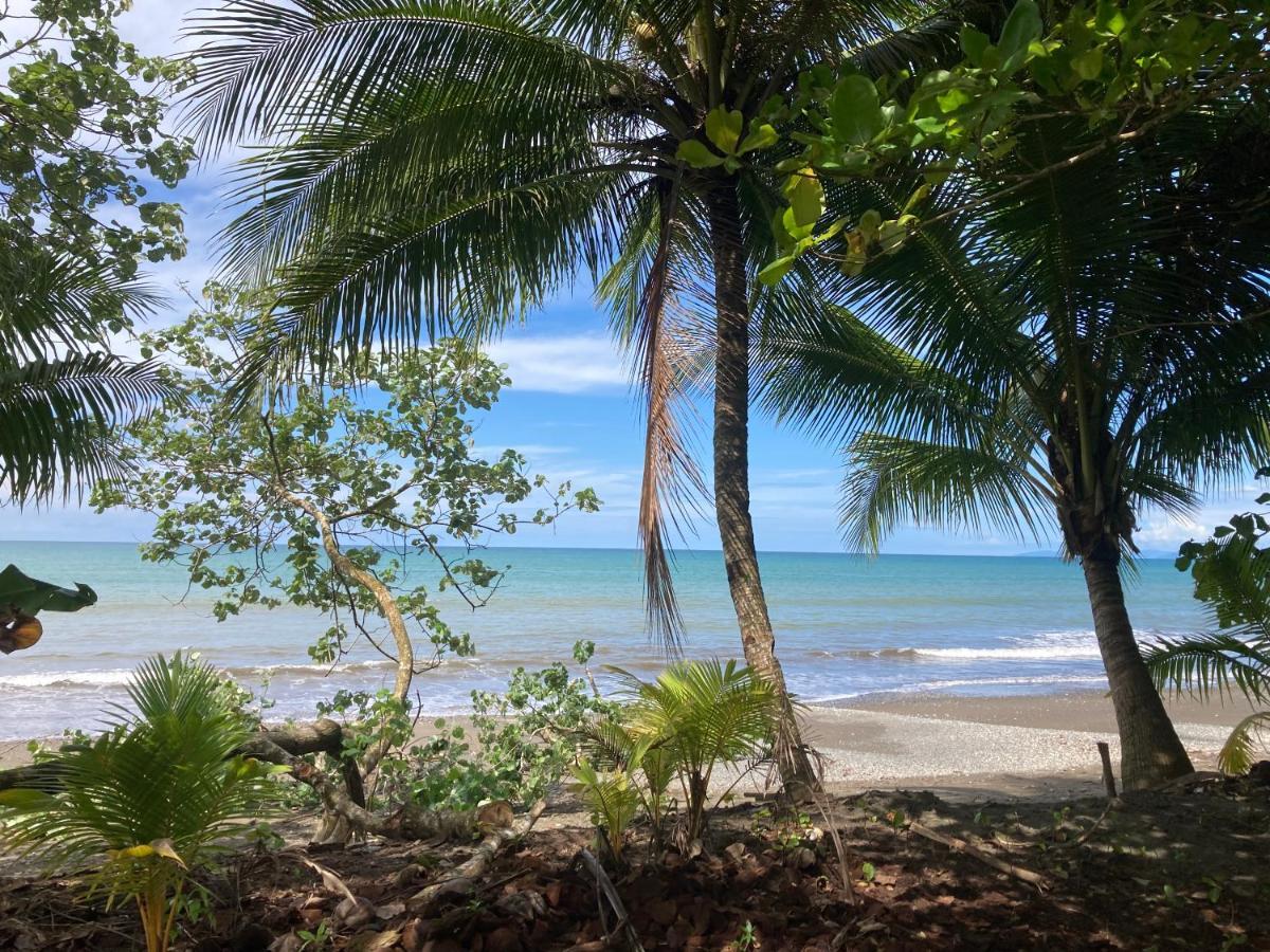 Popochos Beach Eco-Lodge Nuquí 外观 照片