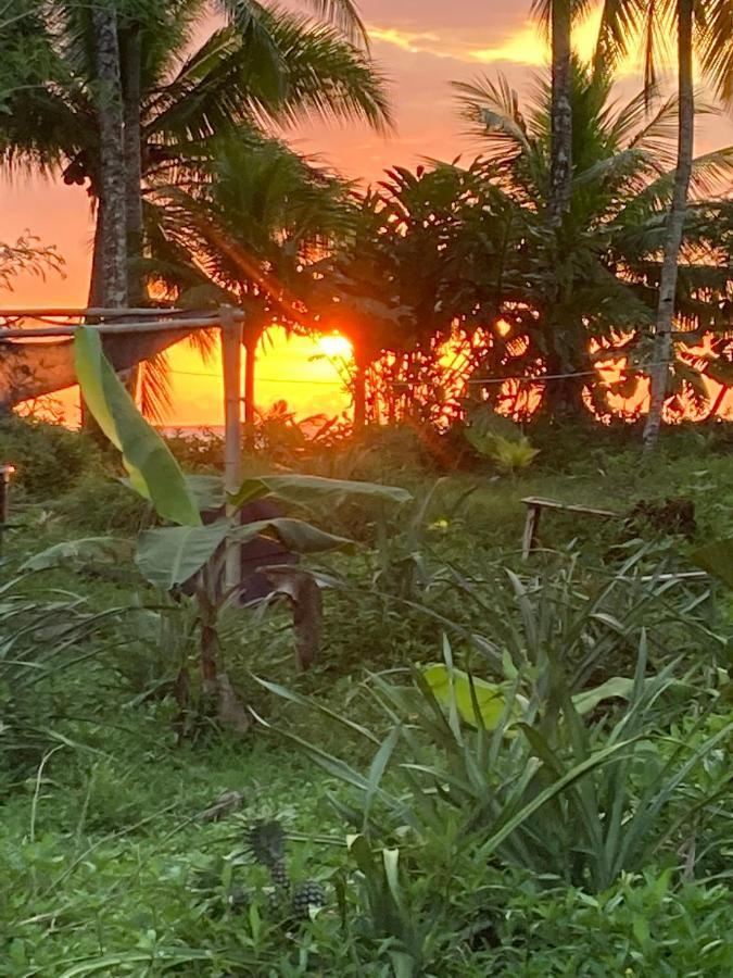 Popochos Beach Eco-Lodge Nuquí 外观 照片