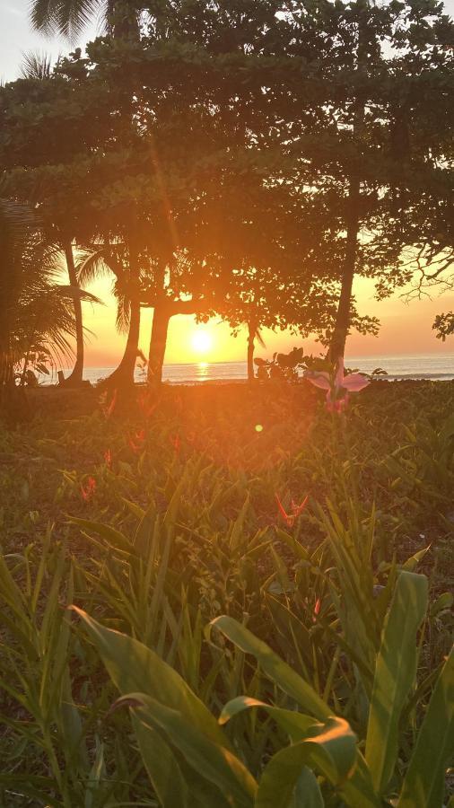 Popochos Beach Eco-Lodge Nuquí 外观 照片