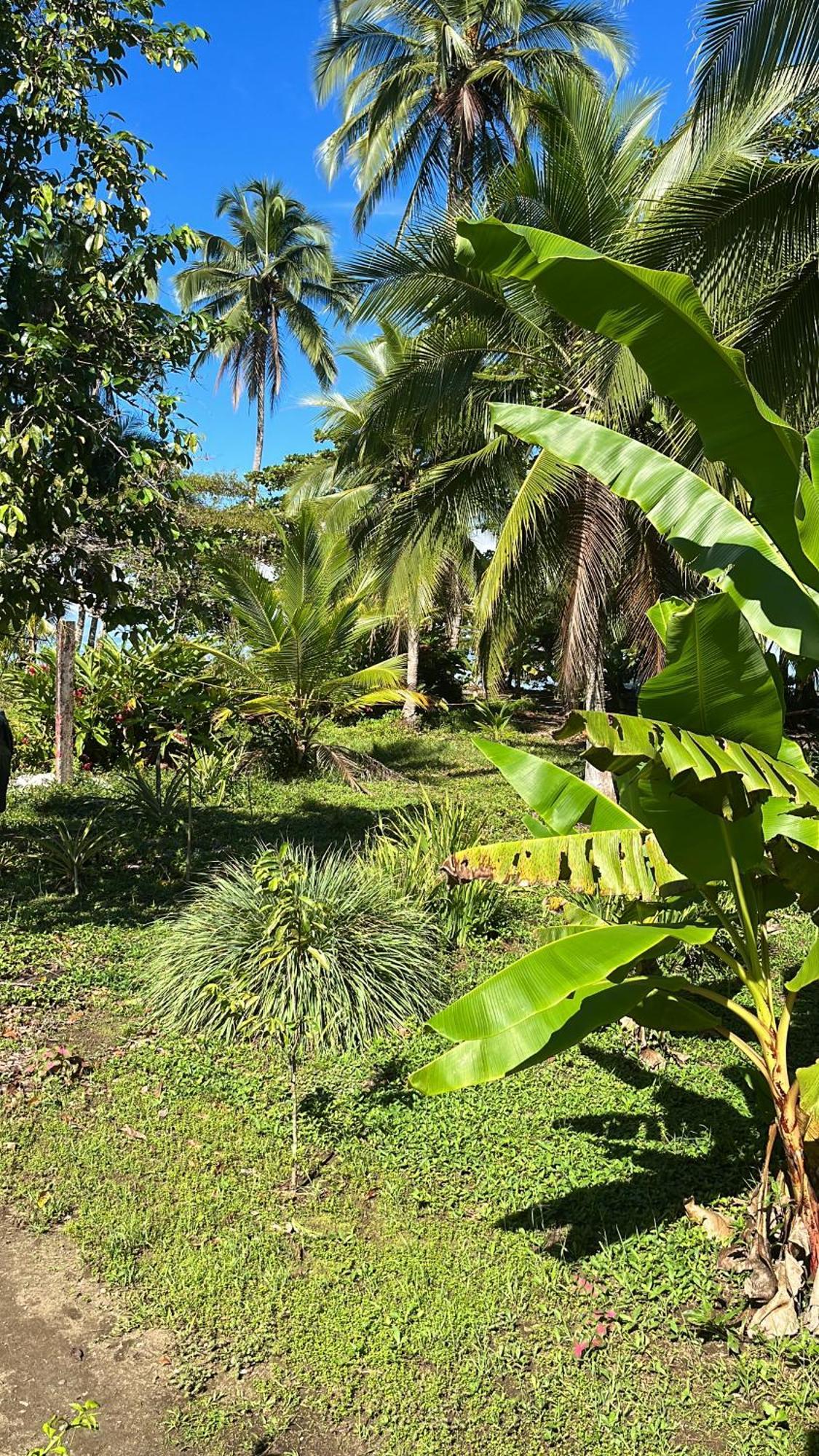 Popochos Beach Eco-Lodge Nuquí 外观 照片