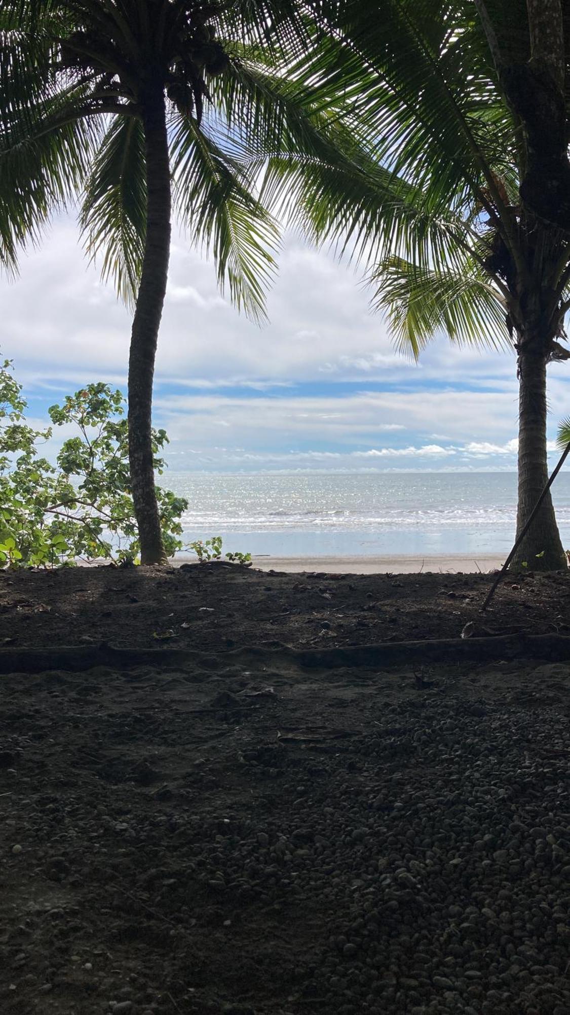 Popochos Beach Eco-Lodge Nuquí 外观 照片