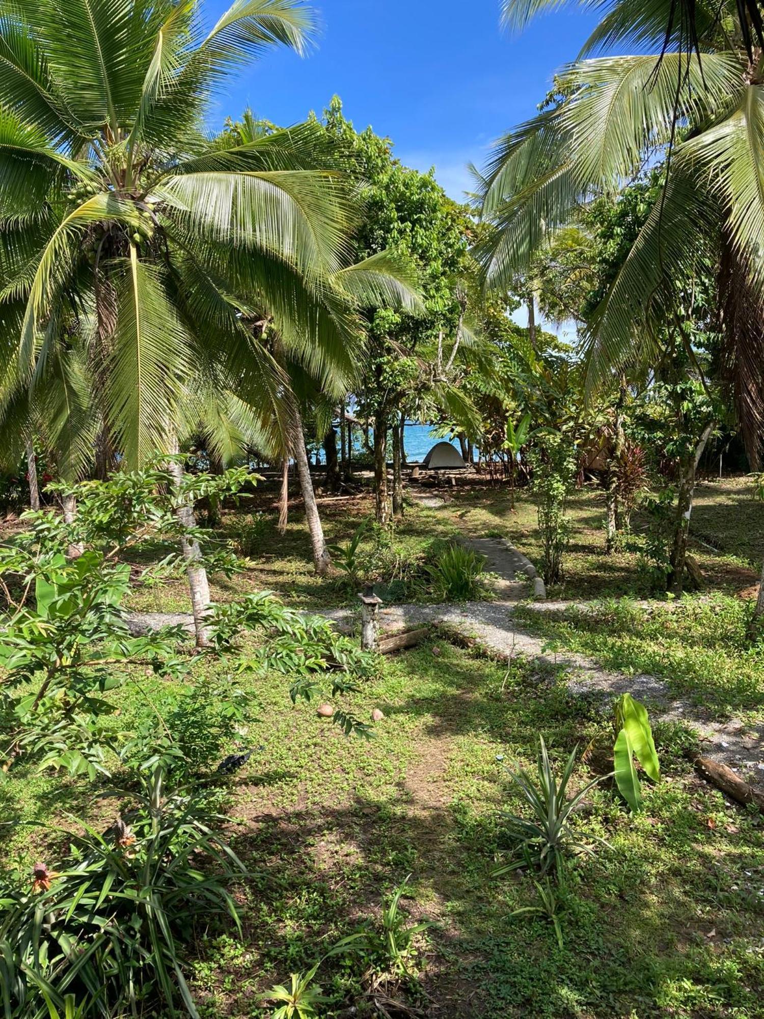 Popochos Beach Eco-Lodge Nuquí 外观 照片