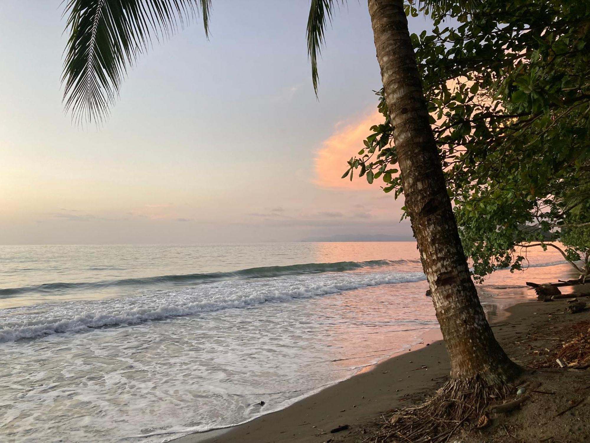 Popochos Beach Eco-Lodge Nuquí 外观 照片