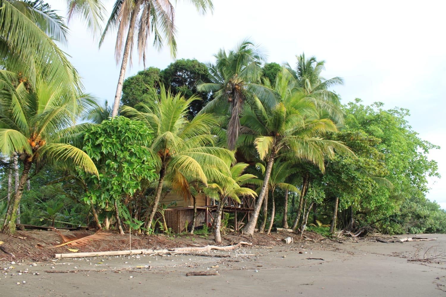 Popochos Beach Eco-Lodge Nuquí 外观 照片