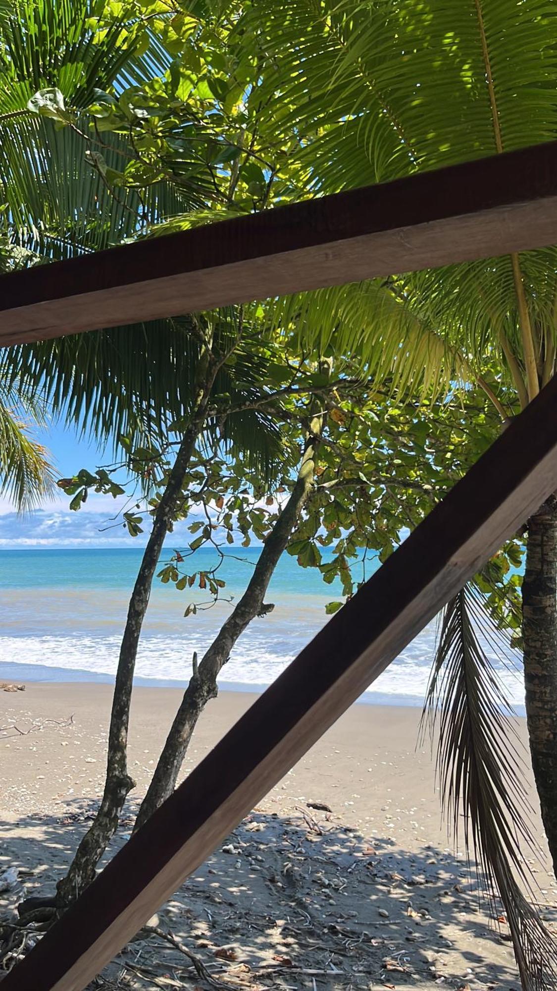 Popochos Beach Eco-Lodge Nuquí 外观 照片